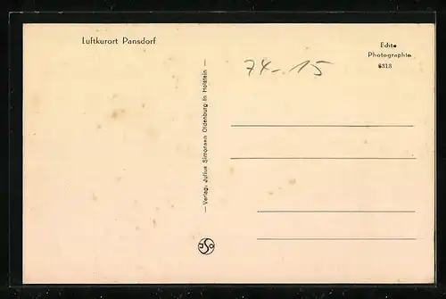AK Pansdorf, Strassenpartie im Luftkurort