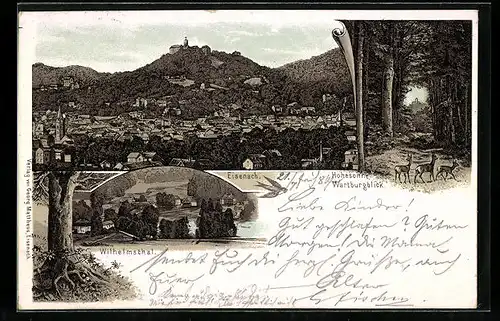 Lithographie Eisenach, Stadt aus der Vogelschau, Hohesonne mit Wartburgblick, Wilhelmsthal