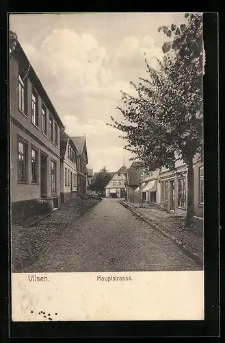 AK Vilsen, Häuserpartie in der Hauptstrasse
