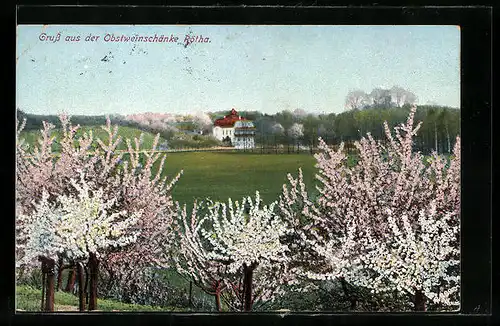 AK Rötha, Gasthaus Obstweinschänke hinter blühenden Bäumen