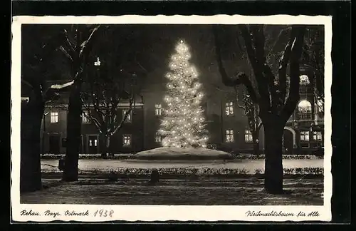 AK Rehau /Bay., Leuchtender Weihnachtsbaum vor Häusern bei Nacht