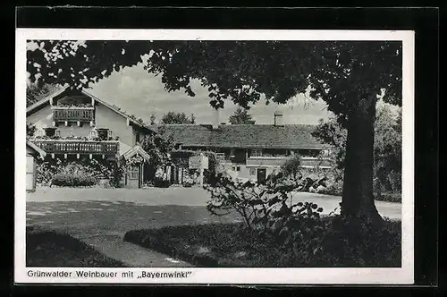 AK Grünwald /Isartal, Gasthaus-Pension Weinbauer mit Bayernwinkl L. Zach