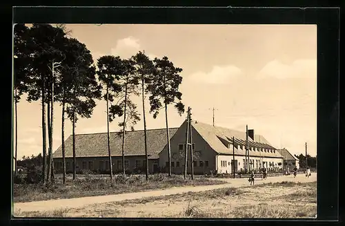 AK Torgelow-Drögeheide, Strasse an HO Landgaststätte