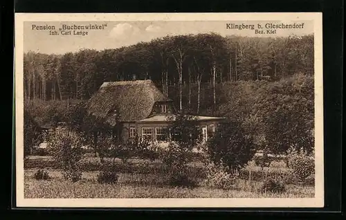 AK Klingberg bei Gleschendorf, Pension Buchenwinkel C. Lange mit Waldblick