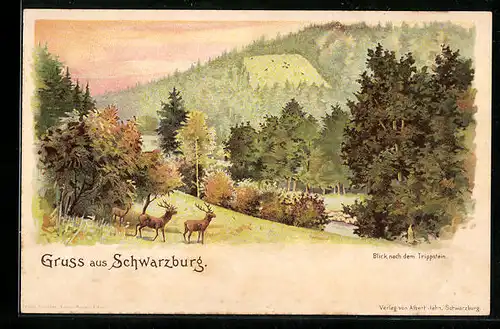 Lithographie Schwarzburg, Blick nach dem Trippstein, mit Hirschen