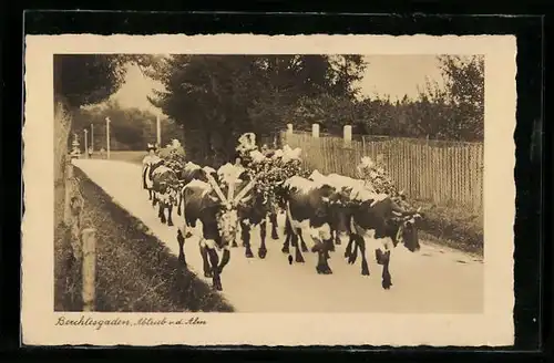 AK Berchtesgaden, Abtrieb von der Alm