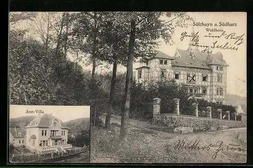 AK Sülzhayn /Harz, Waldhaus und Arzt-Villa