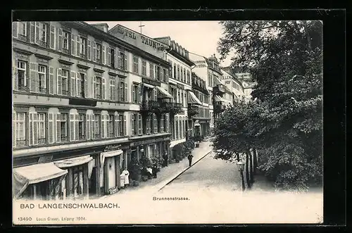 AK Bad Langenschwalbach, Brunnenstrasse aus der Vogelschau