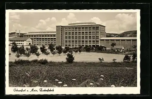 AK Ochsenfurt a. M., Zuckerfabrik mit Feldern