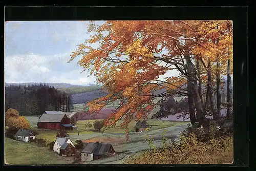 Künstler-AK Photochromie Nr. 3469: Frauenbach b. Neuhausen im Erzgebirge, Herbstlandschaft