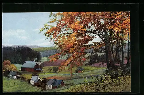 Künstler-AK Photochromie Nr. 139: Frauenbach b. Neuhausen, Herbstlandschaft