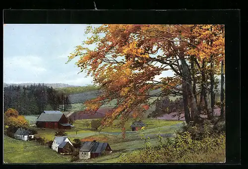 Künstler-AK Photochromie: Frauenbach b. Neuhausen, Herbstlandschaft