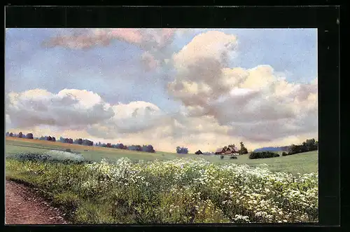 Künstler-AK Photochromie Nr. 108: Neuhausen, Sommerwiese