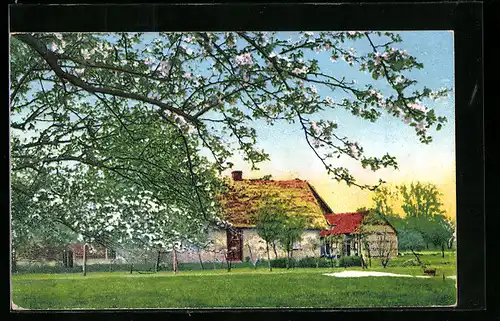 Künstler-AK Photochromie Nr. 535: Dorfpartie im Frühling, Blühende Bäume im Garten