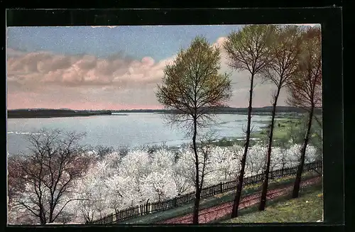 Künstler-AK Photochromie Nr. 2453: Blühende Obstbäume am Seeufer