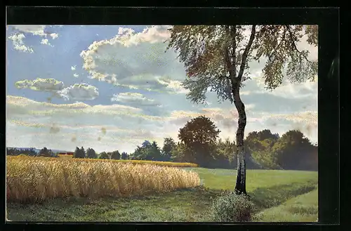 Künstler-AK Photochromie Nr. 2799: Getreidefeld im Sommer