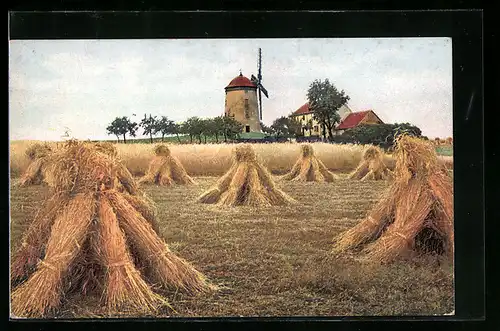 Künstler-AK Photochromie Nr. 2828: Kornfeld nach der Ernte, Windmühle