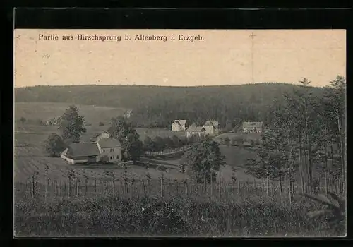 AK Hirschsprung / Erzgeb., Ortsansicht aus der Vogelschau
