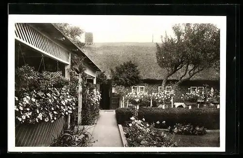 AK Altenteil a. Fehmarn, Café und Pensionat Rosengarten