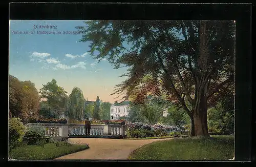 AK Offenburg, Blutbuche im Schlossgarten