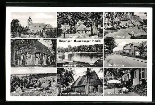 AK Bispingen (Lüneburger Heide), Ortsansichten, Schafstall, Schwimmbad, altes Bauernhof