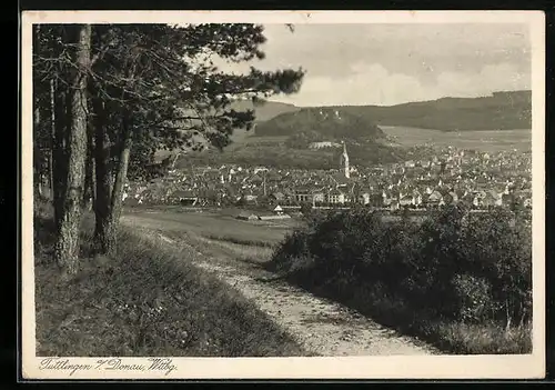 AK Tuttlingen a. / Donau, Wttbg., Ortsansicht aus der Ferne