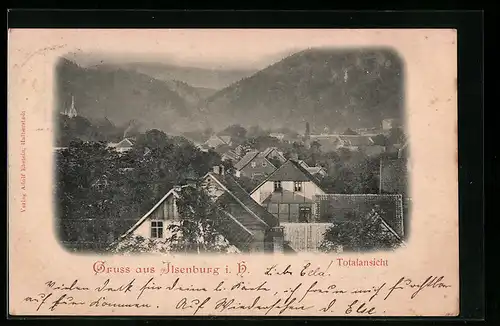 AK Ilsenburg i. H., Totalansicht