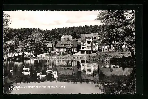 AK Neuhaus i. Solling, am Teich