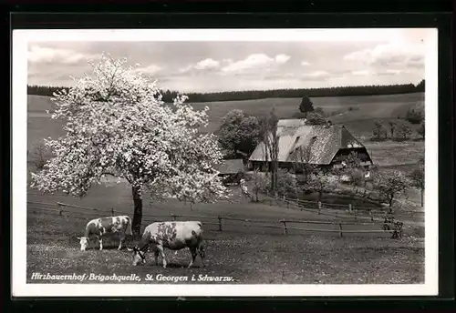 AK St. Georgen i. Schwarzw., Hirzbauernhof /Brigachquelle