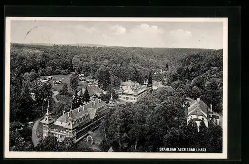 AK Alexisbad i. Harz, Ortsansicht mit Umland