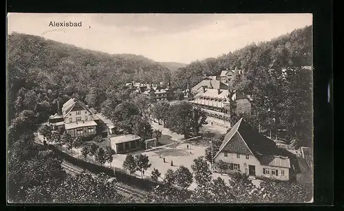 AK Alexisbad, Ortsansicht aus der Vogelschau