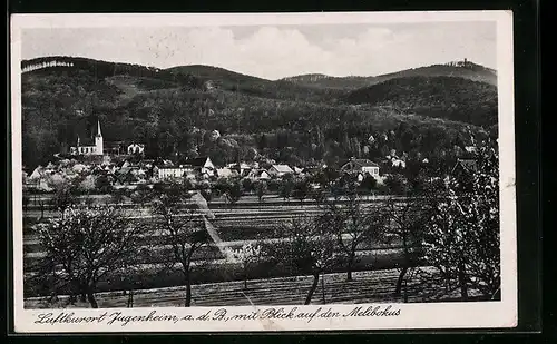 AK Jugenheim a. d. B., Ortsansicht mit Blick auf den Melibokus