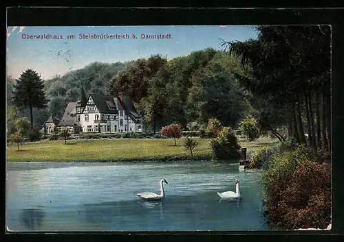 AK Darmstadt, Oberwaldhaus am Steinbrückerteich mit Schwänen