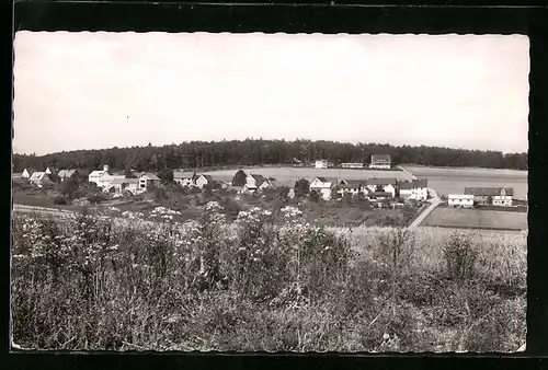 AK Neuludwigsdorf über Bromskirchen, Blick auf den Ort