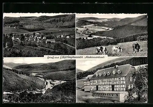 AK Elkeringhausen, Schullandheim, Ortspanorama, Kühe, Landschaftspartie