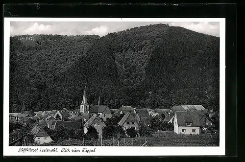 AK Freienohl, Ortsansicht mit Blick zum Küppel