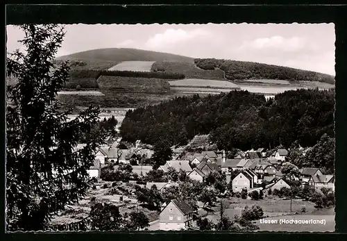 AK Liesen /Hochsauerland, Blick auf den Ort