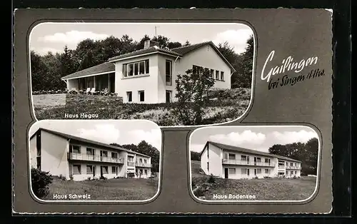 AK Gailingen b. Singen /Htw., Haus Hegau, Haus Schweiz, Haus Bodensee