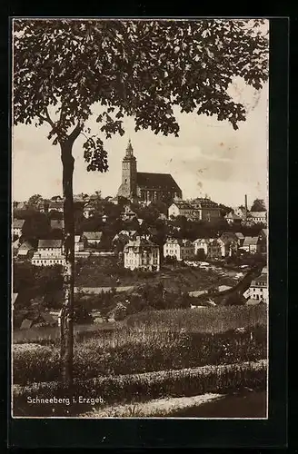 AK Schneeberg i. Erzgeb., Ortsansicht mit Blick auf die Kirche