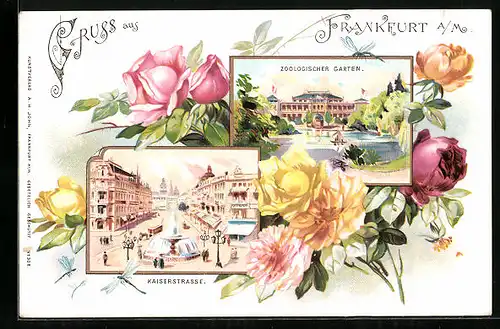 Passepartout-Lithographie Frankfurt a. M., Kaiserstrasse und Zoologischer Garten, Rosen