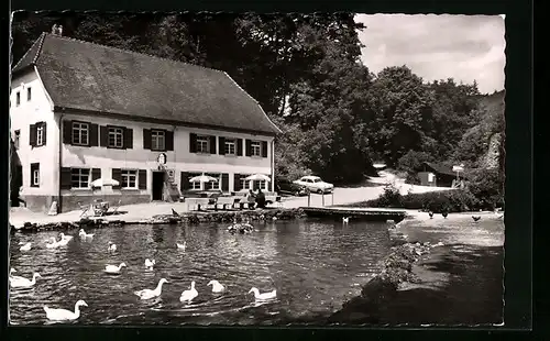 AK Wimsen, Gasthaus u. Pension Zur Friedrichshöhle
