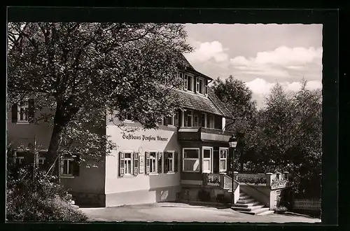 AK Dornstetten, Gasthaus-Pension ZUR BLUME