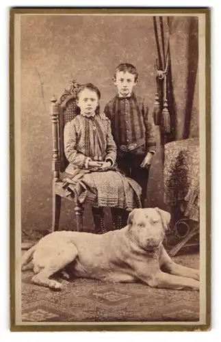 Fotografie Joh. Schwarz, Vilshofen, zwei Kinder mit ihrem grossen Hund im Atelier