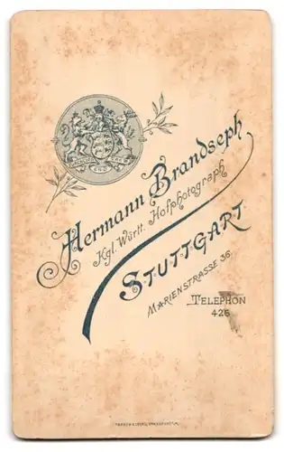 Fotografie H. Brandseph, Stuttgart, Marienstr. 36, Halbwüchsiger Knabe im Samtanzug mit Fliege