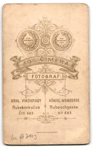 Fotografie Jos. Cimera, Königl. Weinberge, Rubeschgasse 583, Junge Dame im Kleid mit Kragenbrosche