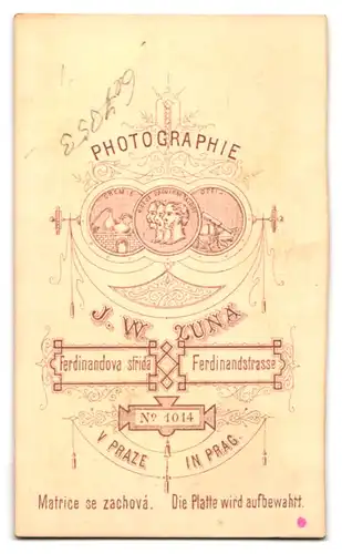 Fotografie J. W. Luna, Prag, Ferdinandstr. 1014, Junge Dame mit Hochsteckfrisur