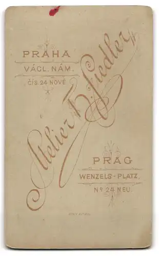 Fotografie H. Fiedler, Prag, Wenzels-Platz 24 neu, Junge Dame mit Kragenbrosche