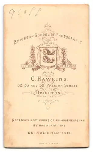 Fotografie C. Hawkins, Brighton, Preston Street, Ernste junge Dame mit Puffärmeln und Pünktchenbluse