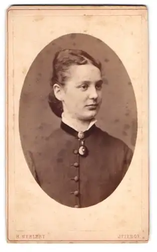 Fotografie H. Mehlert, Itzehoe, Junge Dame mit zwei Broschen und Spitzenkragen