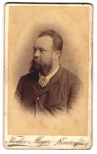 Fotografie Theodor Meyer, Sonneberg /Th., Bürgerlicher mit mächtigem Vollbart und Geheimratsecken